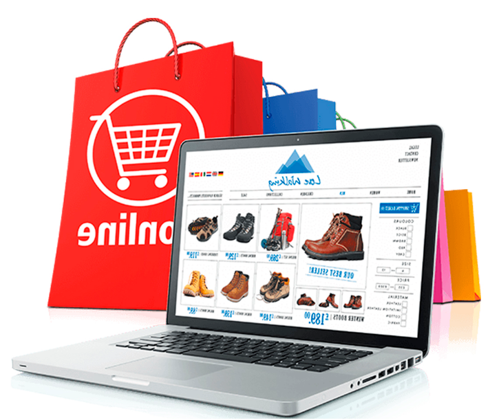 Diseñador de Páginas Web