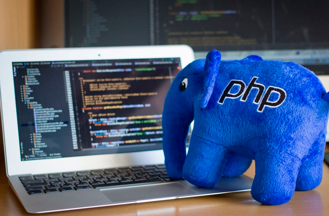 Diseñador de Páginas Web